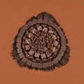 Classic Chocolate Tray