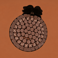 Flower Tray