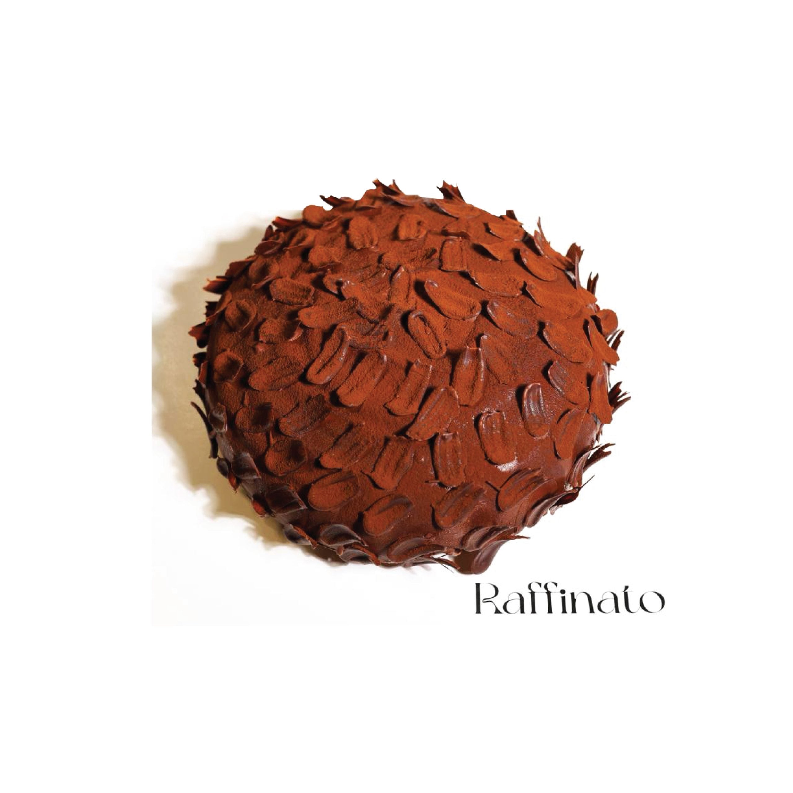 Chocolate Desire Cake image 0